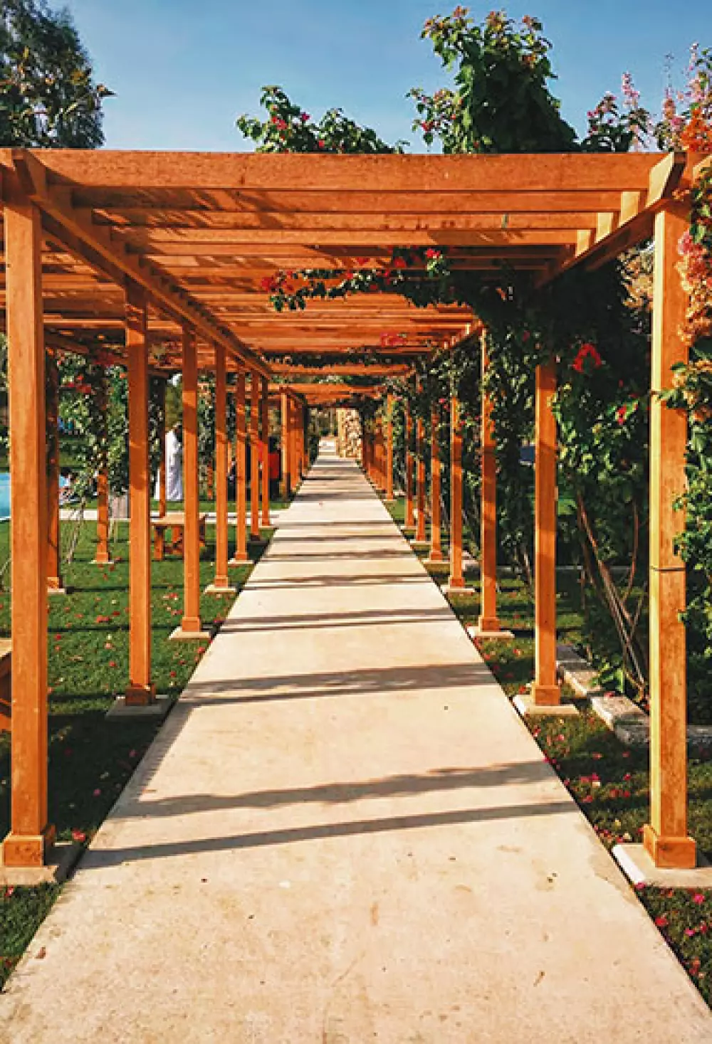 pergola bois massif