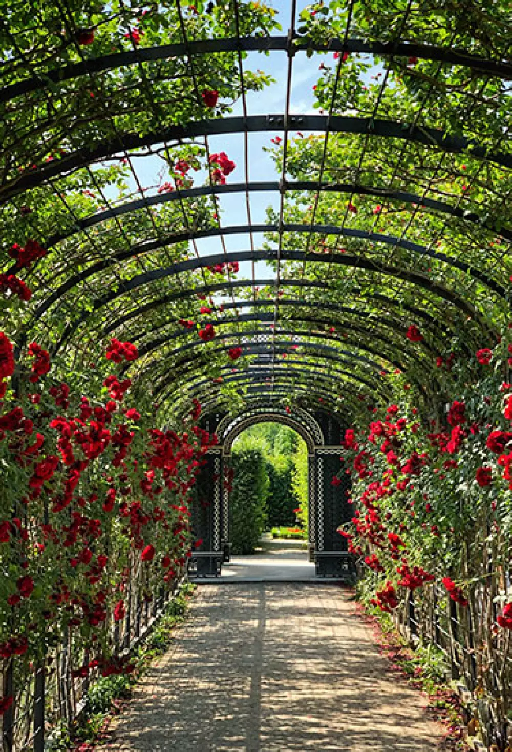 Une pergola en fer forgé