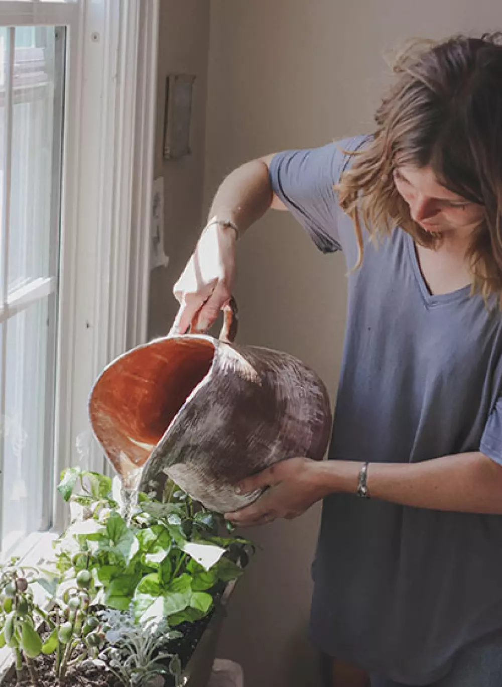 potager aromatique véranda