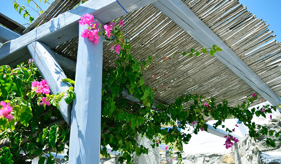 pergola pas cher
